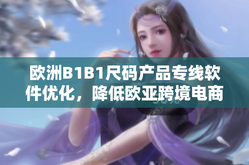 欧洲B1B1尺码产品专线软件优化，降低欧亚跨境电商运营难度