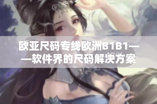 欧亚尺码专线欧洲B1B1——软件界的尺码解决方案