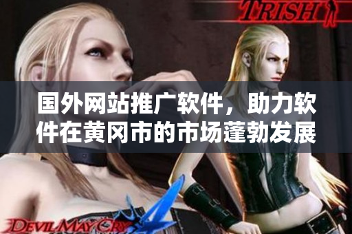 国外网站推广软件，助力软件在黄冈市的市场蓬勃发展