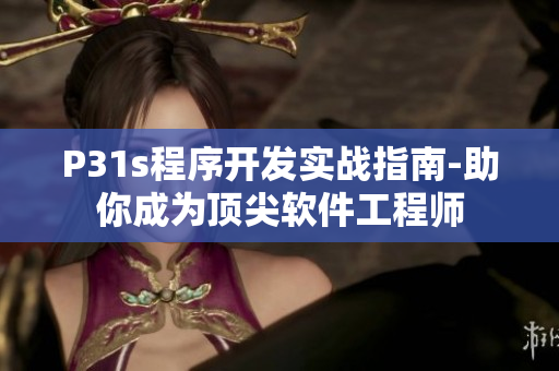 P31s程序开发实战指南-助你成为顶尖软件工程师