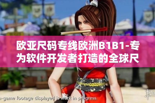 欧亚尺码专线欧洲B1B1-专为软件开发者打造的全球尺码解决方案
