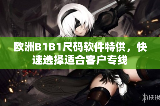 欧洲B1B1尺码软件特供，快速选择适合客户专线