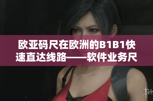 欧亚码尺在欧洲的B1B1快速直达线路——软件业务尺码解决方案
