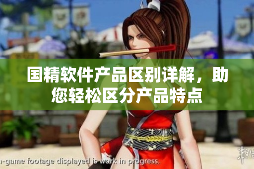 国精软件产品区别详解，助您轻松区分产品特点