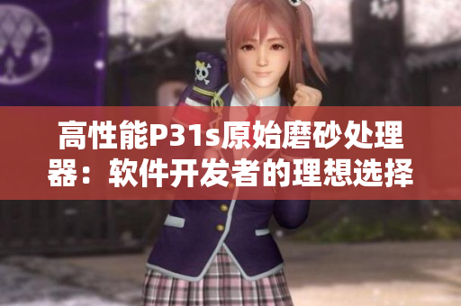 高性能P31s原始磨砂处理器：软件开发者的理想选择