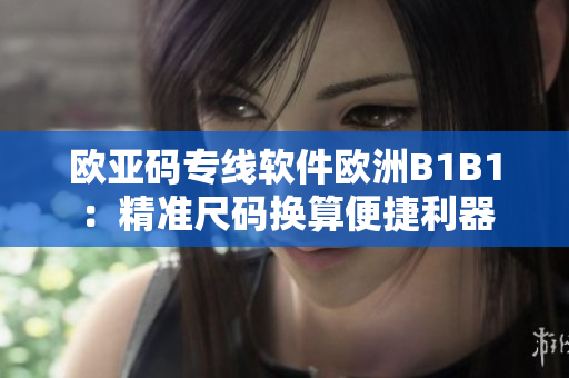 欧亚码专线软件欧洲B1B1：精准尺码换算便捷利器
