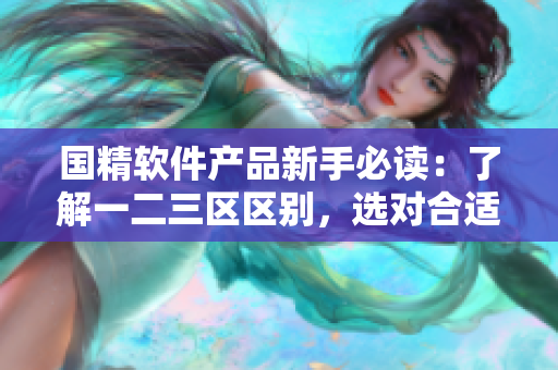 国精软件产品新手必读：了解一二三区区别，选对合适产品