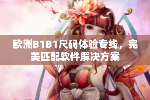 欧洲B1B1尺码体验专线，完美匹配软件解决方案