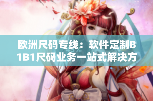 欧洲尺码专线：软件定制B1B1尺码业务一站式解决方案