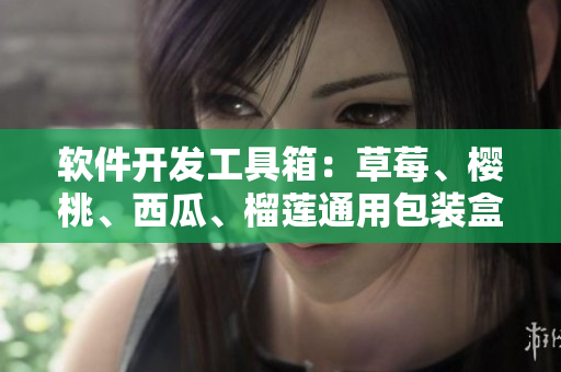 软件开发工具箱：草莓、樱桃、西瓜、榴莲通用包装盒