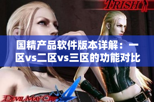 国精产品软件版本详解：一区vs二区vs三区的功能对比