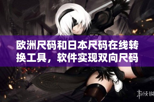欧洲尺码和日本尺码在线转换工具，软件实现双向尺码转换