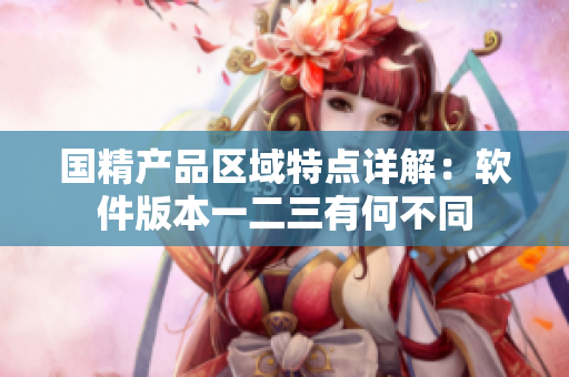 国精产品区域特点详解：软件版本一二三有何不同