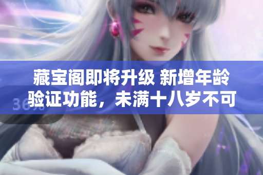 藏宝阁即将升级 新增年龄验证功能，未满十八岁不可访问
