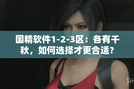 国精软件1-2-3区：各有千秋，如何选择才更合适？