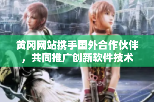 黄冈网站携手国外合作伙伴，共同推广创新软件技术