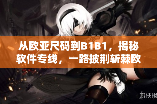 从欧亚尺码到B1B1，揭秘软件专线，一路披荆斩棘欧洲之行