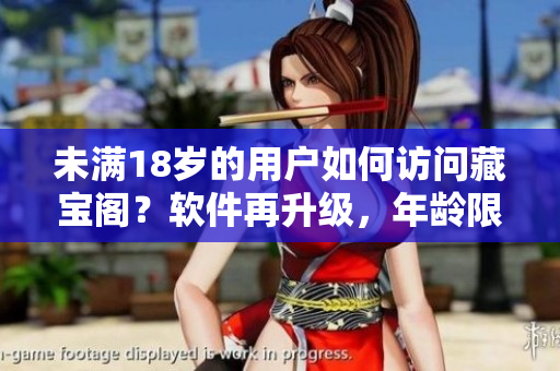 未满18岁的用户如何访问藏宝阁？软件再升级，年龄限制愈加周全!
