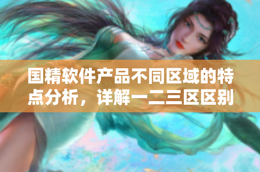 国精软件产品不同区域的特点分析，详解一二三区区别