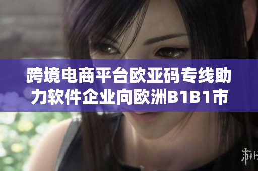 跨境电商平台欧亚码专线助力软件企业向欧洲B1B1市场拓展