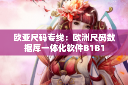 欧亚尺码专线：欧洲尺码数据库一体化软件B1B1