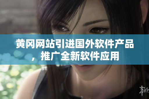 黄冈网站引进国外软件产品，推广全新软件应用