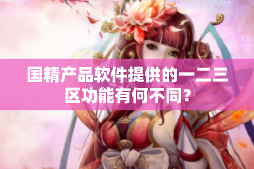 国精产品软件提供的一二三区功能有何不同？