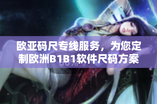 欧亚码尺专线服务，为您定制欧洲B1B1软件尺码方案