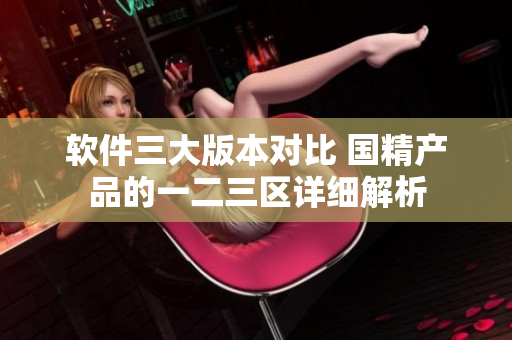 软件三大版本对比 国精产品的一二三区详细解析