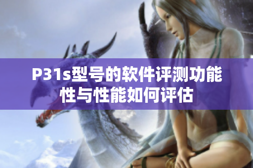 P31s型号的软件评测功能性与性能如何评估