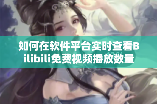 如何在软件平台实时查看Bilibili免费视频播放数量