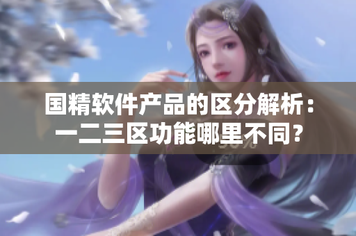 国精软件产品的区分解析：一二三区功能哪里不同？
