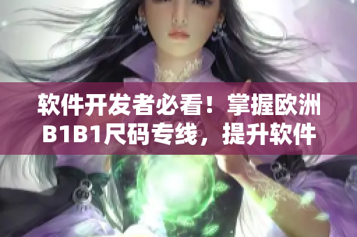 软件开发者必看！掌握欧洲B1B1尺码专线，提升软件产品国际化营销实力