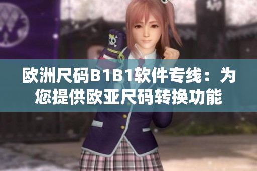 欧洲尺码B1B1软件专线：为您提供欧亚尺码转换功能