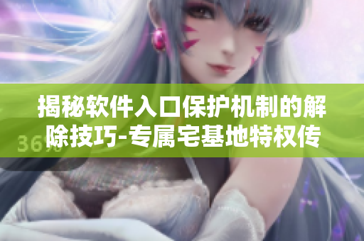 揭秘软件入口保护机制的解除技巧-专属宅基地特权传授