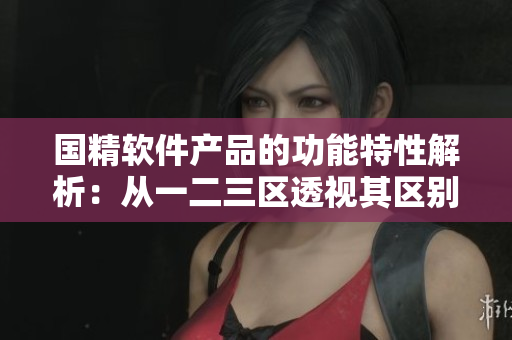 国精软件产品的功能特性解析：从一二三区透视其区别