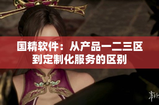 国精软件：从产品一二三区到定制化服务的区别