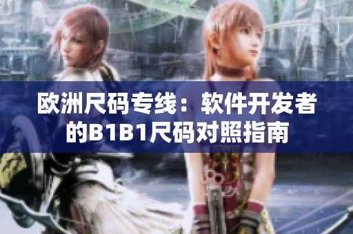 欧洲尺码专线：软件开发者的B1B1尺码对照指南
