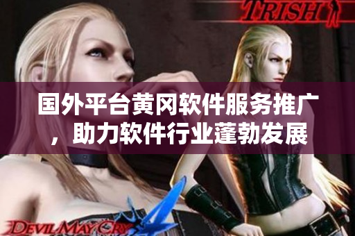 国外平台黄冈软件服务推广，助力软件行业蓬勃发展