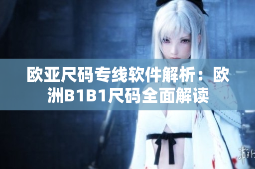 欧亚尺码专线软件解析：欧洲B1B1尺码全面解读