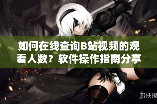 如何在线查询B站视频的观看人数？软件操作指南分享
