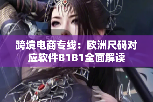 跨境电商专线：欧洲尺码对应软件B1B1全面解读