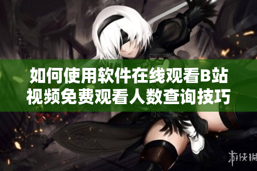 如何使用软件在线观看B站视频免费观看人数查询技巧