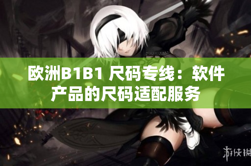 欧洲B1B1 尺码专线：软件产品的尺码适配服务