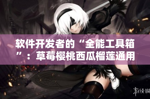 软件开发者的“全能工具箱”：草莓樱桃西瓜榴莲通用包装盒