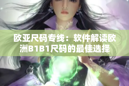 欧亚尺码专线：软件解读欧洲B1B1尺码的最佳选择