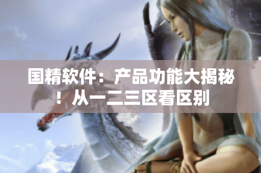国精软件：产品功能大揭秘！从一二三区看区别