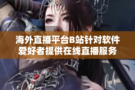 海外直播平台B站针对软件爱好者提供在线直播服务