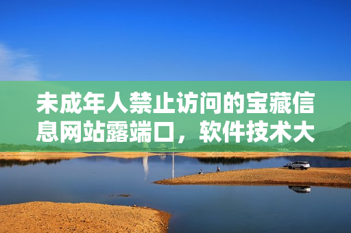 未成年人禁止访问的宝藏信息网站露端口，软件技术大揭秘