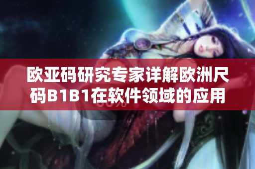 欧亚码研究专家详解欧洲尺码B1B1在软件领域的应用